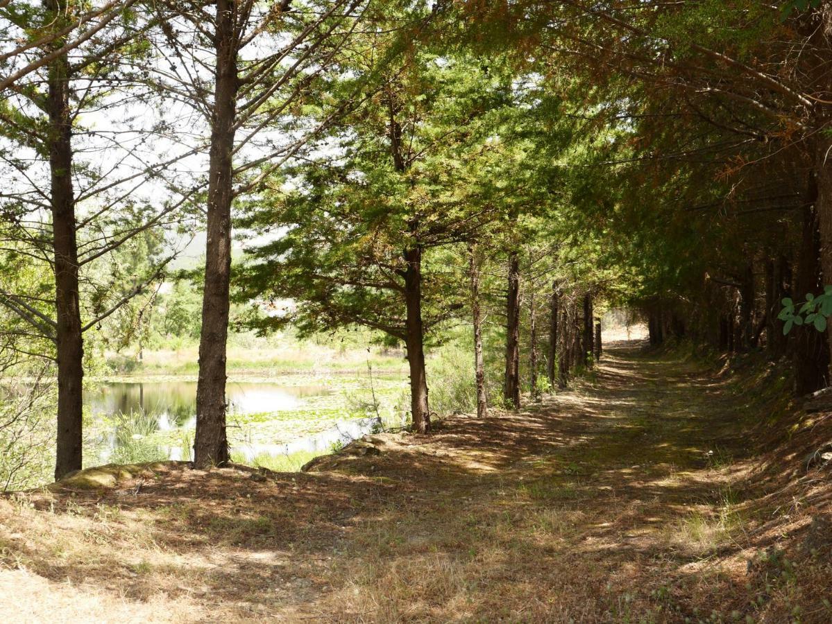 Quinta nas Colinas São Vicente da Beira Exterior foto